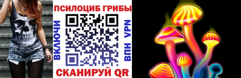 Псилоцибиновые грибы Cubensis  Купить где  Тырныауз 